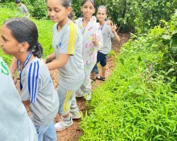 Std VIII Field trip to Forganic farm Khopoli